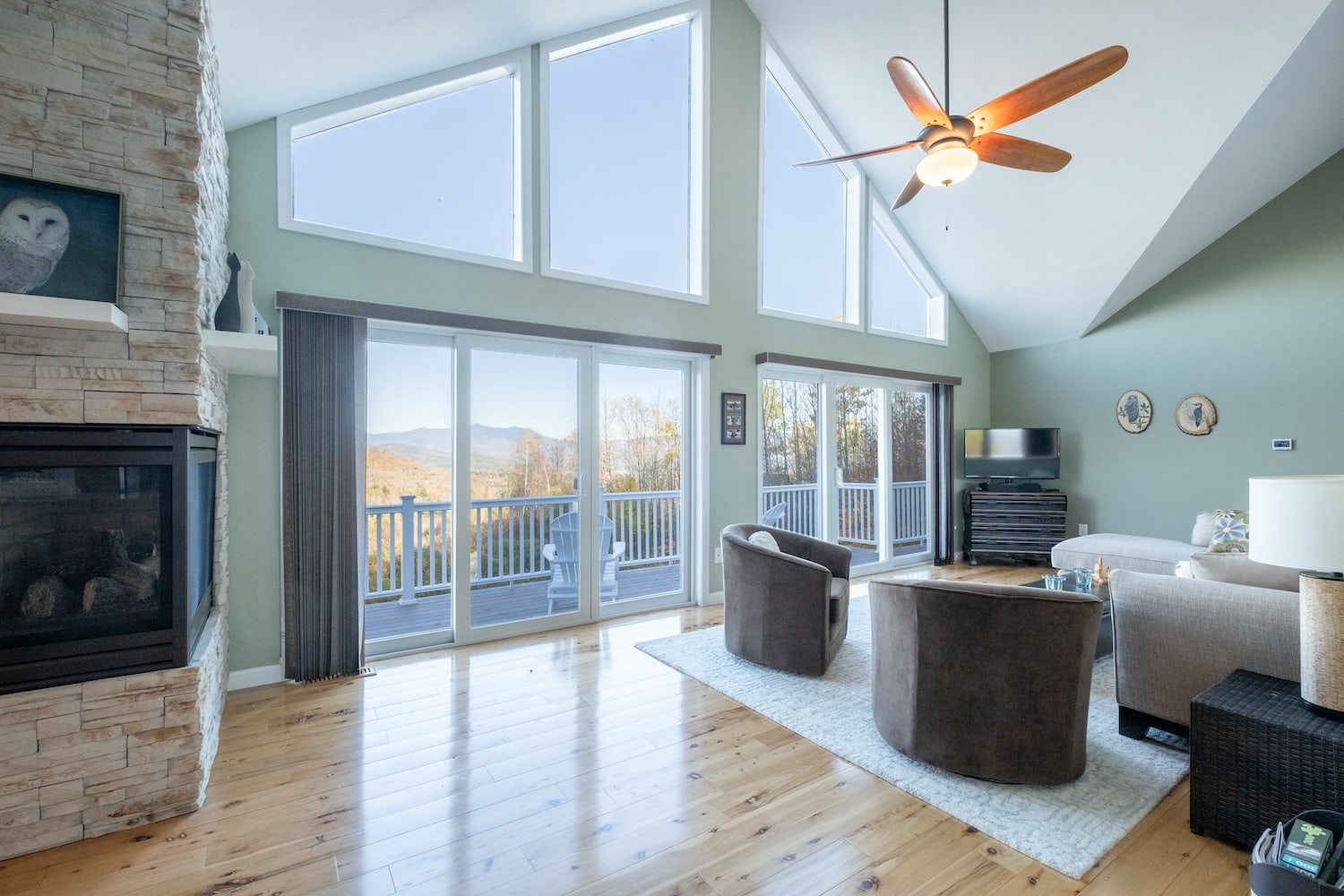 ceiling ideas vaulted with fan in living room