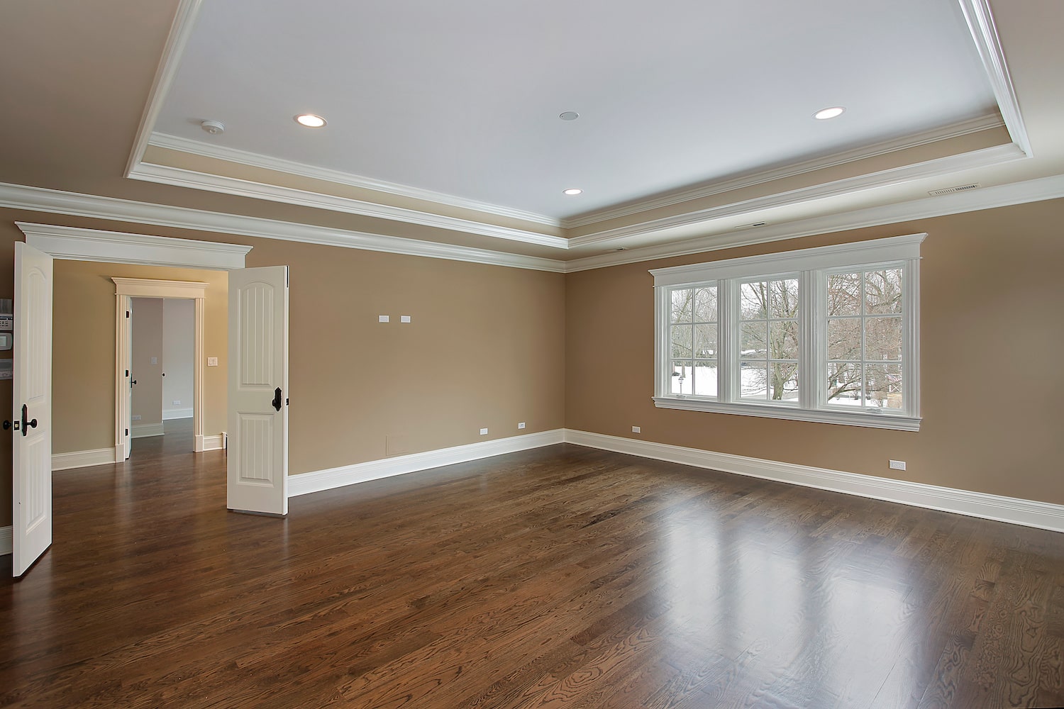 tray ceiling empty room